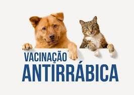 Notícias