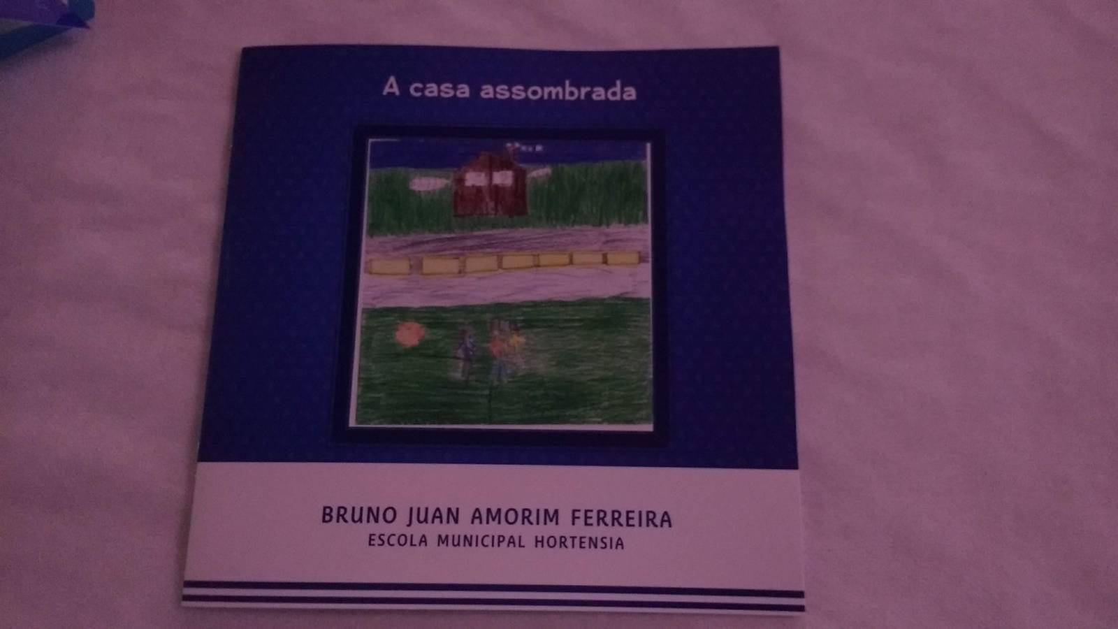 Lançamento Livro Alunos EM Hortênsia