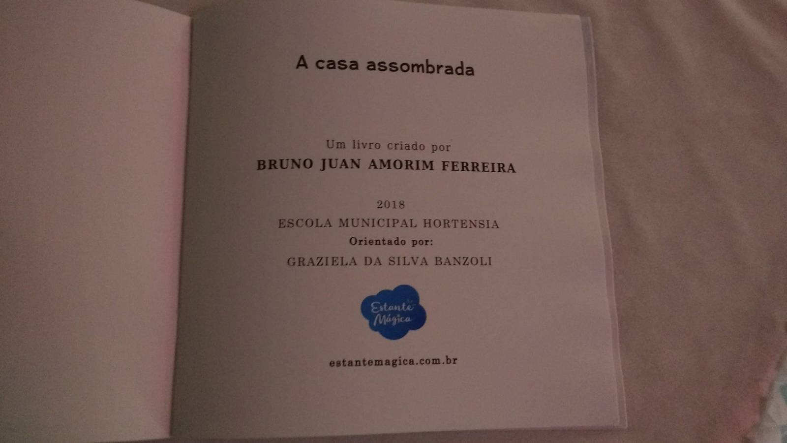 Lançamento Livro Alunos EM Hortênsia