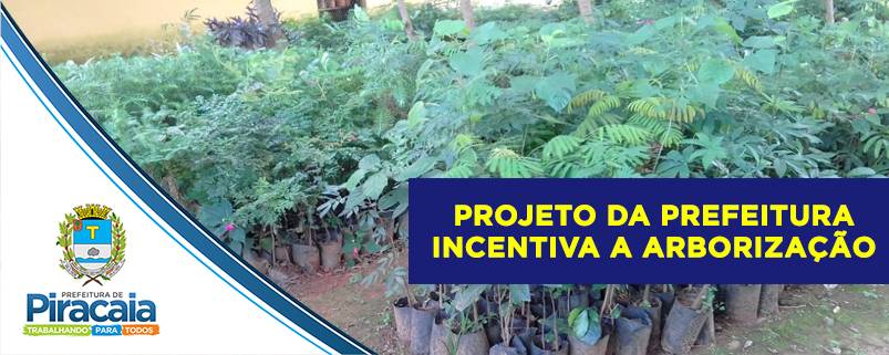 Prefeitura fornece mudas de árvores para estimular a arborização da cidade