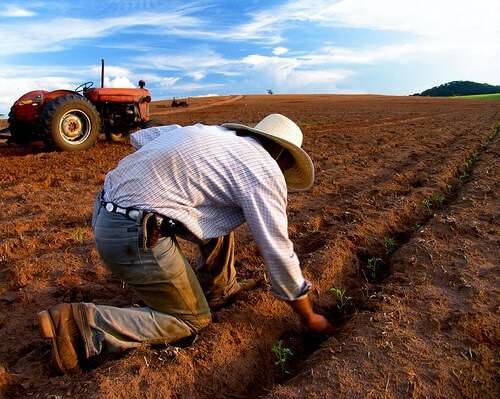 Emprego na agropecuária