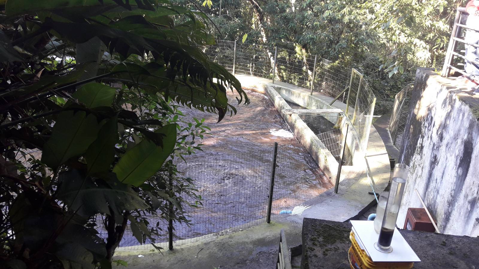 Visita Monitorada Meio Ambient