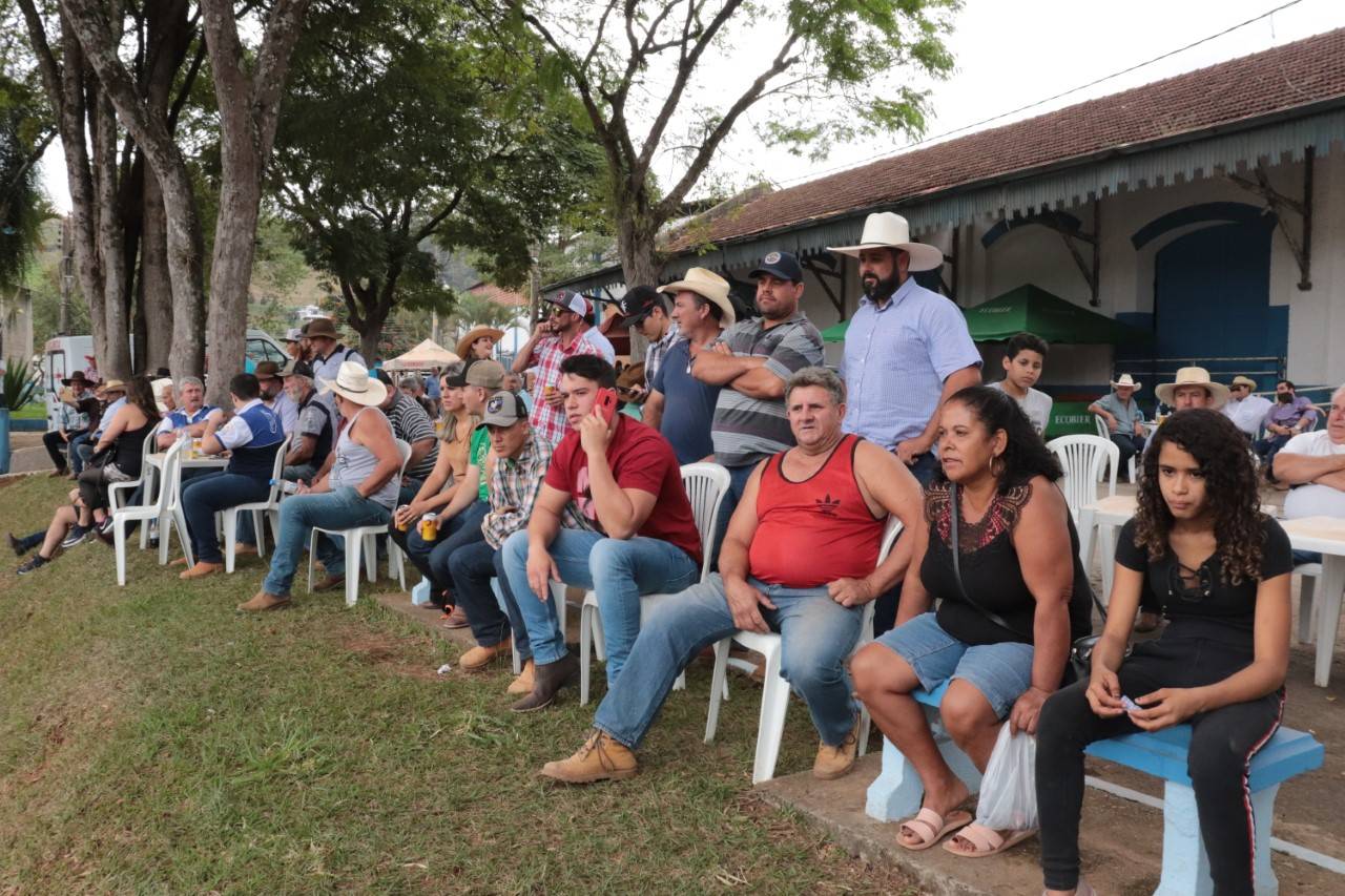 Muares 2019