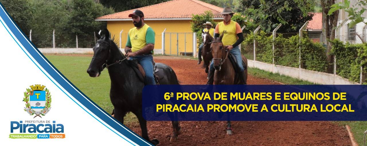 6ª prova de muares e equinos de Piracaia reuniu pessoas de toda a região