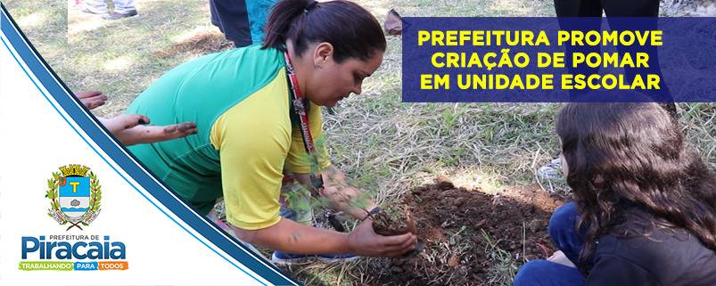 Prefeitura realiza o plantio de árvores nativas de Mata Atlântica