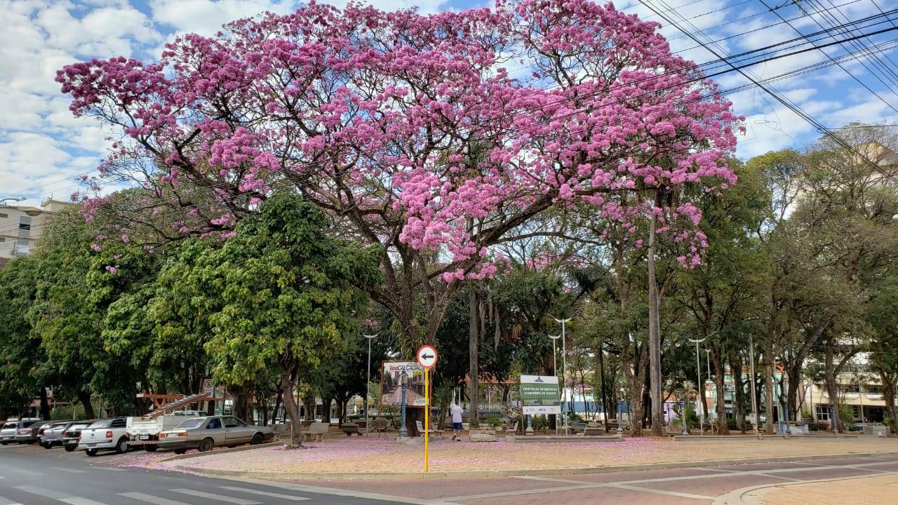 Programação de Aniversário de Taquaritinga