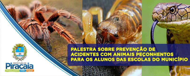 Prefeitura Municipal promoverá nesta quinta-feira (08), uma Palestra sobre Prevenção de Acidentes com Animais Peçonhentos