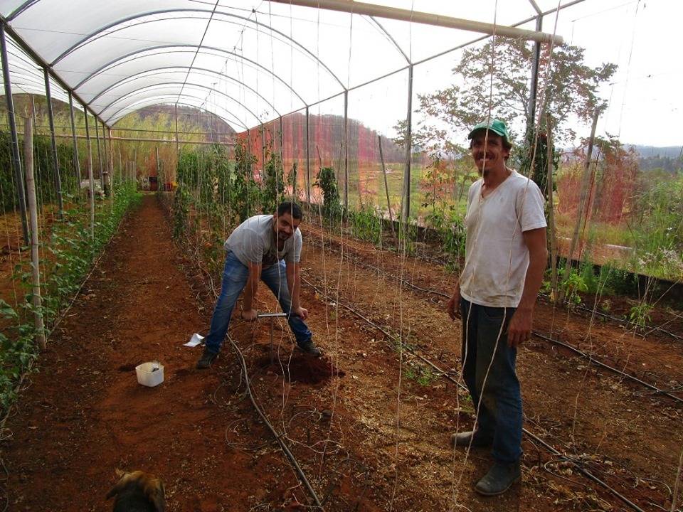 Secretaria de Agricultura coleta amostras para análise de solo