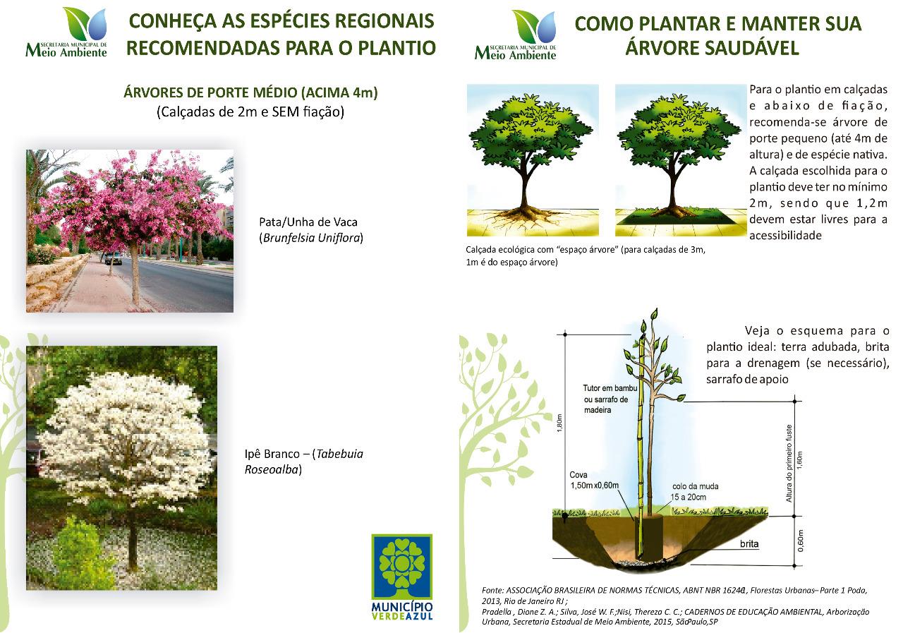 Distribuição de cartilhas sobre arborização urbana aos alunos da Rede Municipal