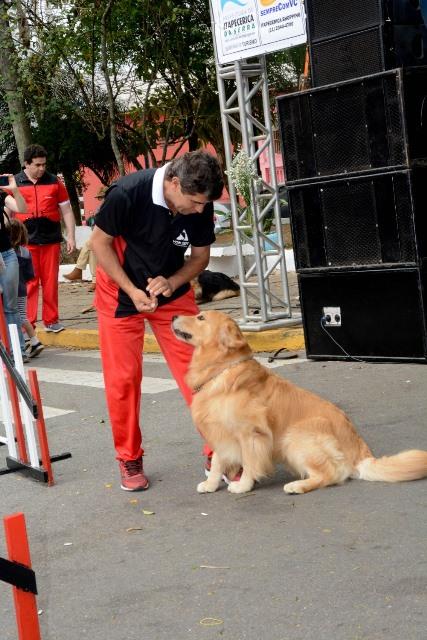 Festival da Primavera 2019
