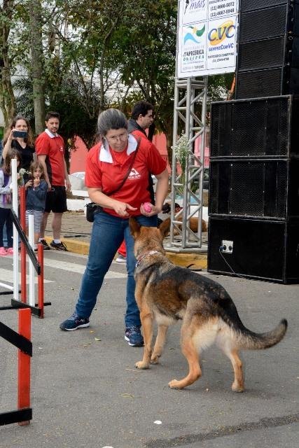 Festival da Primavera 2019