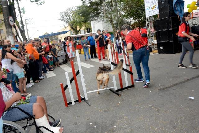 Festival da Primavera 2019