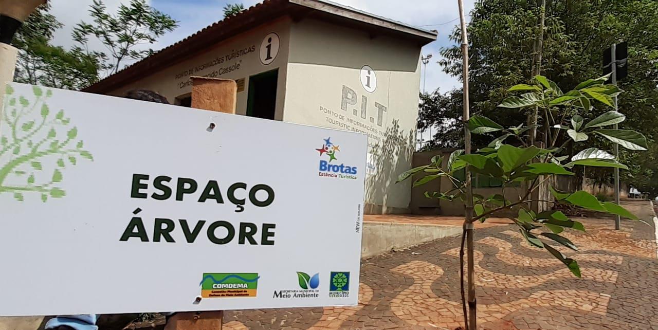 Projeto Espaço Árvore da Secretaria de Meio Ambiente