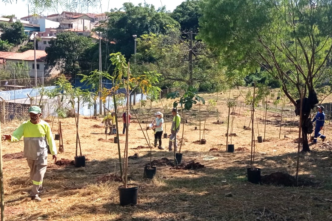 Dia da Água (2)