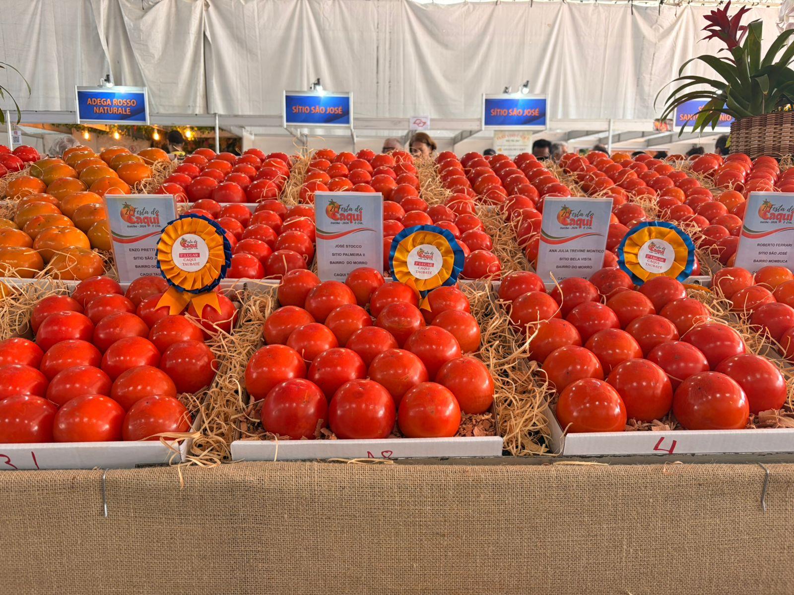 Caqui frutas - cr&eacute;dito Camila de Magalh&atilde;es PMI