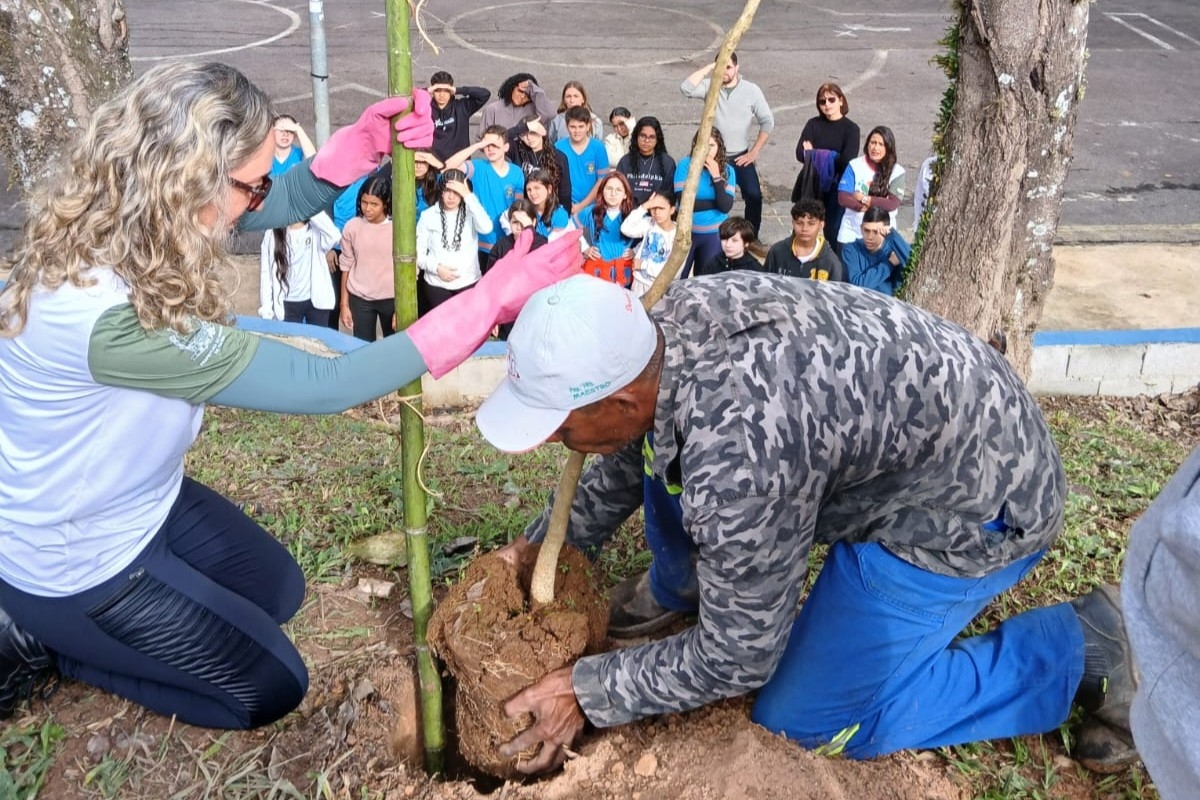 PlantioSemAmbiente
