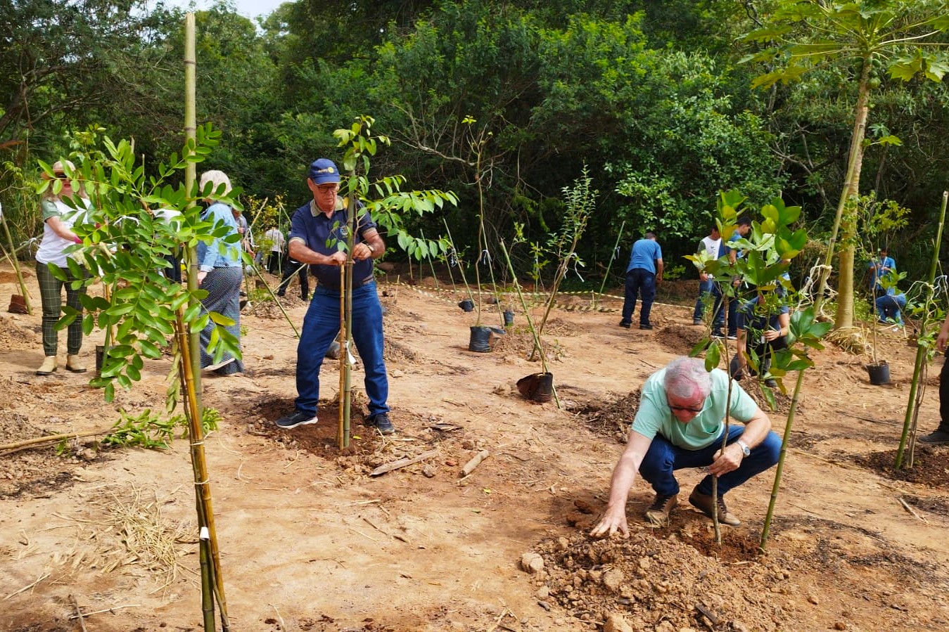 PlantioDoacaoRotary 1