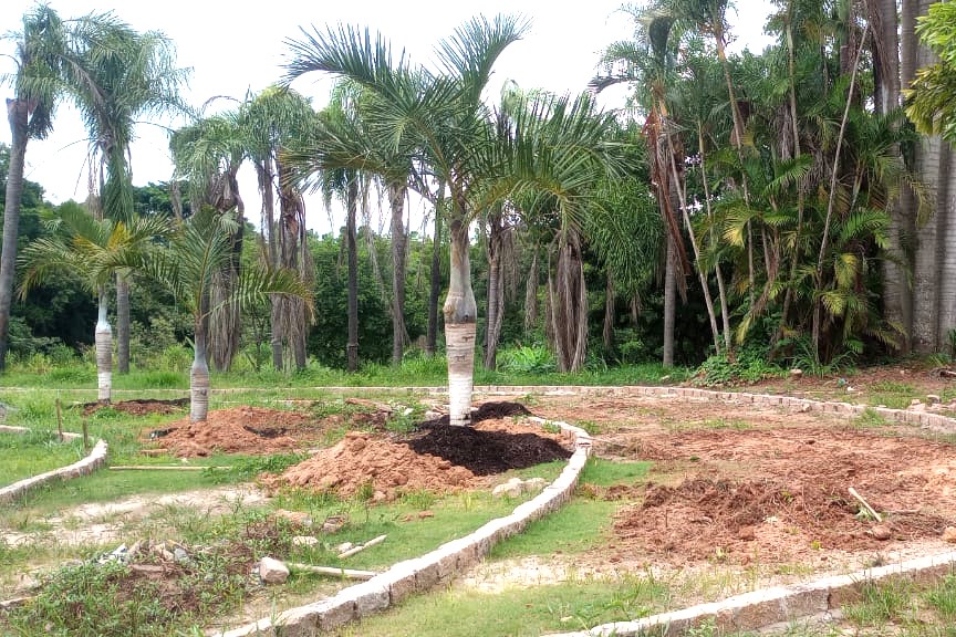 JardimBotanico25 2.jpg