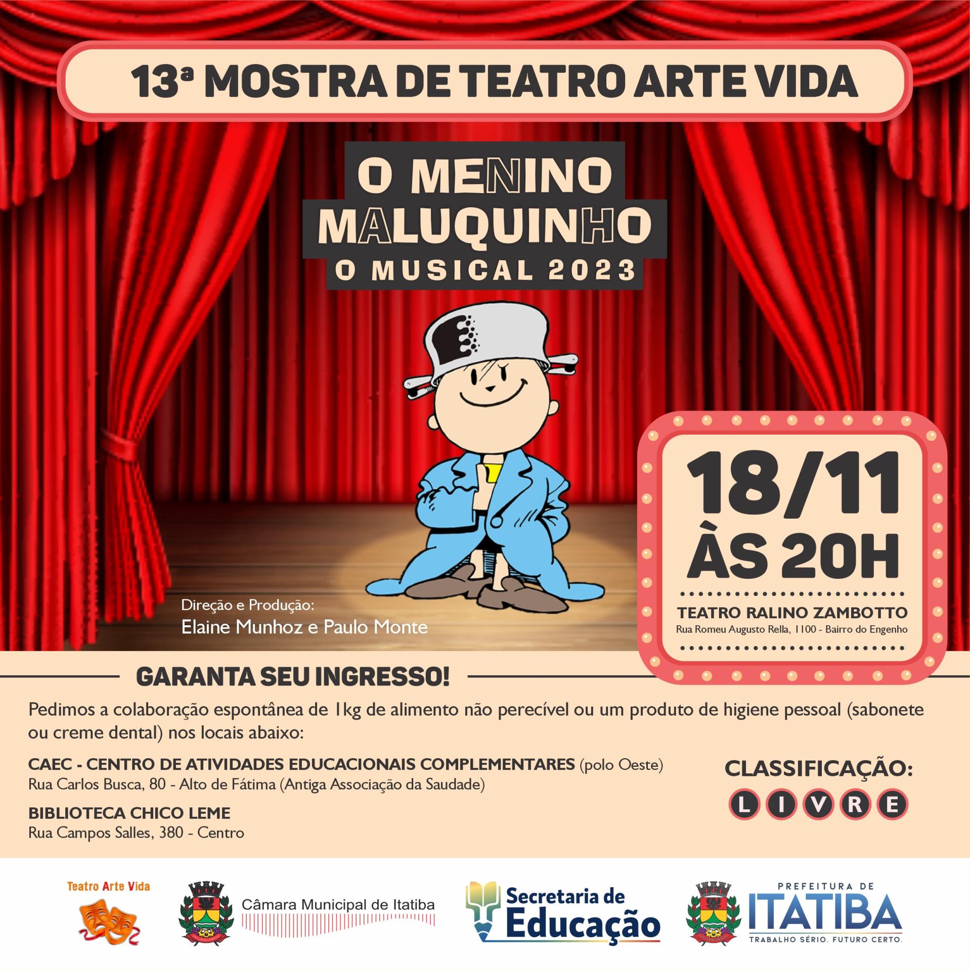 TeatroArteVida-MeninoMalu