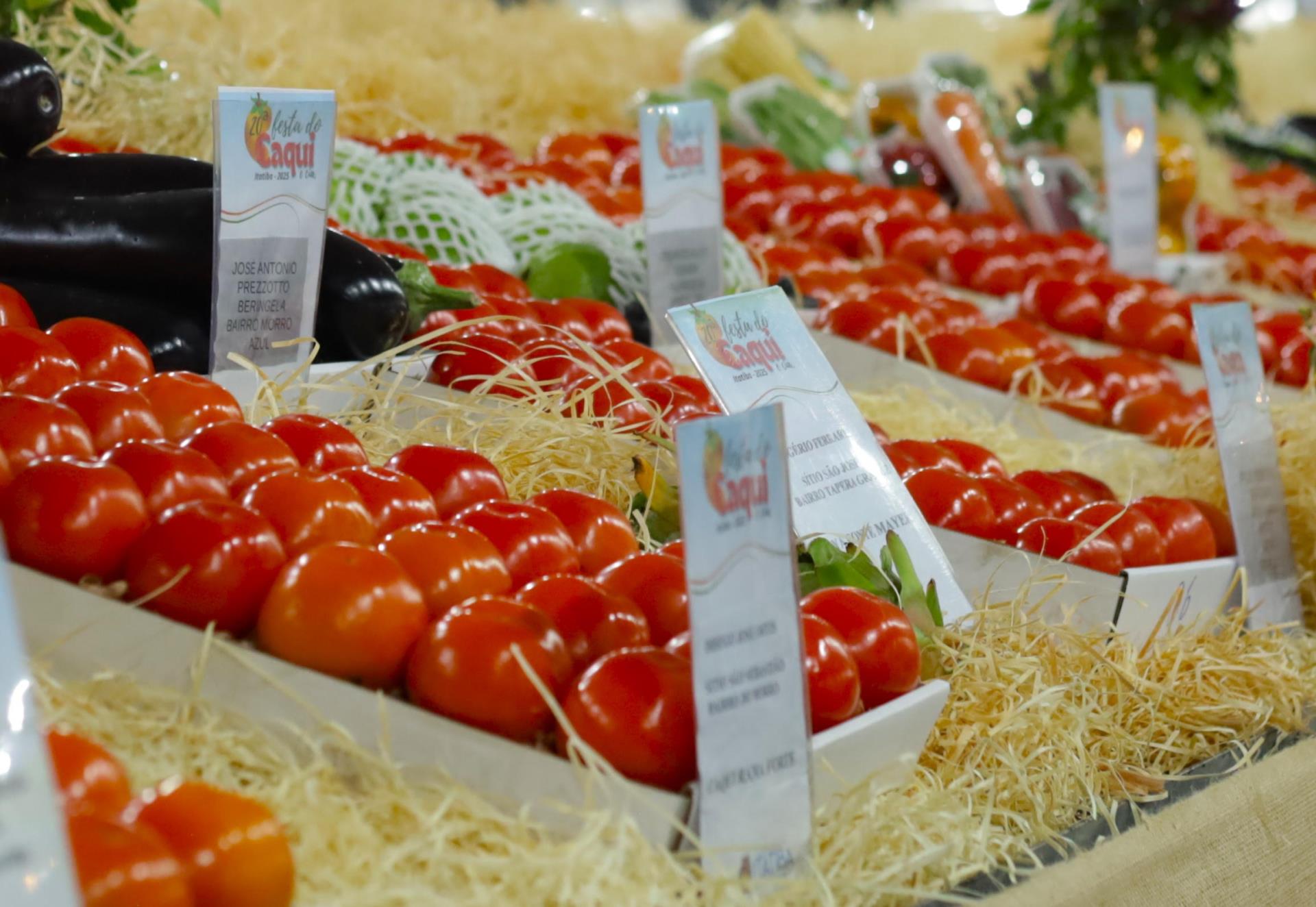 premia&ccedil;&atilde;o_3