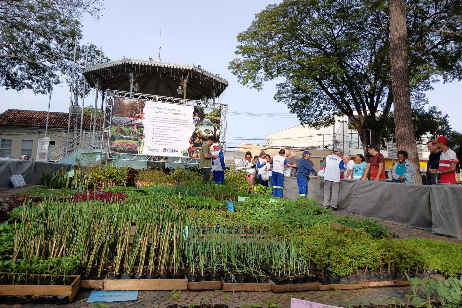 Dia do Meio Ambiente - crédito Marcio Megda PMI (6)
