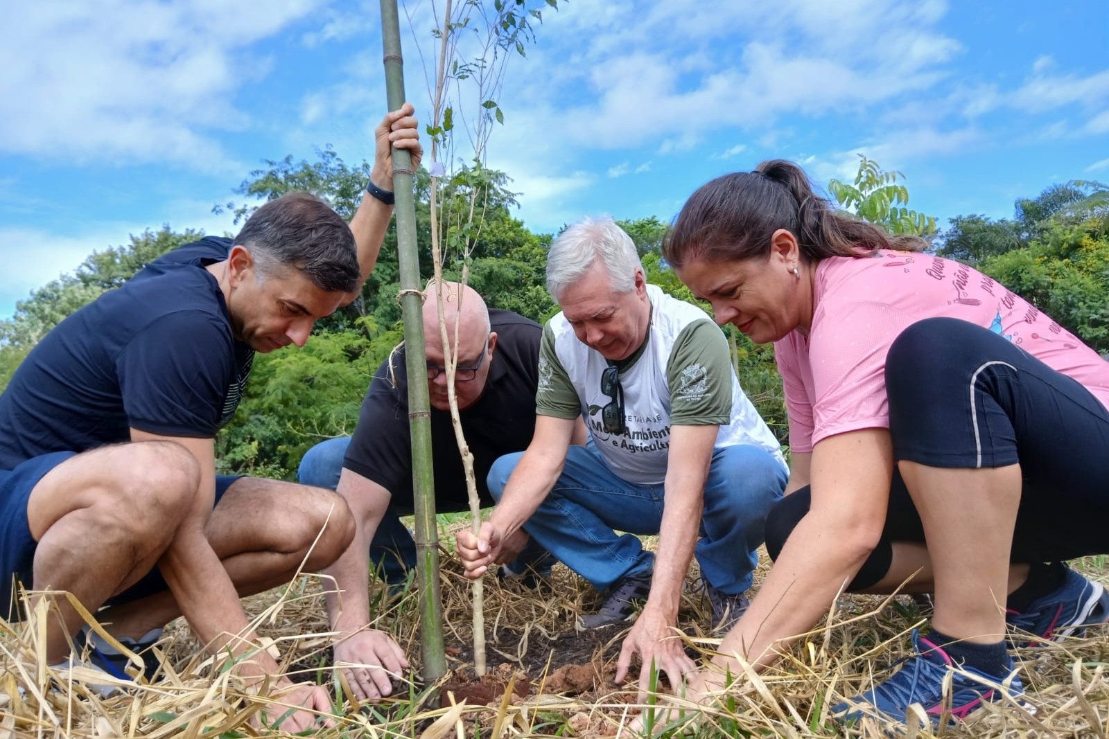 PlantioGlobalMudas