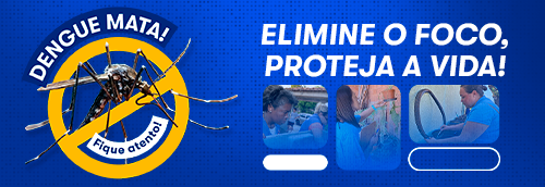 Combate da Dengue
