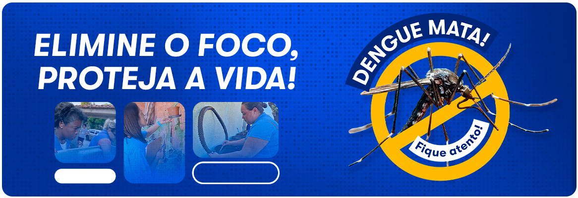 011_COMBATE-DENGUE-SITE-TOPO