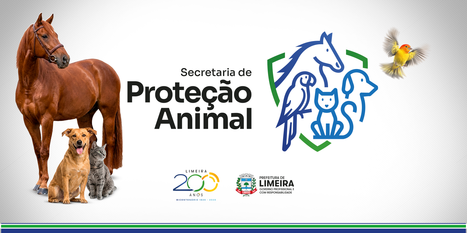ANI_Hotsite-Prote&ccedil;&atilde;o-Animal---PRINCIPAL