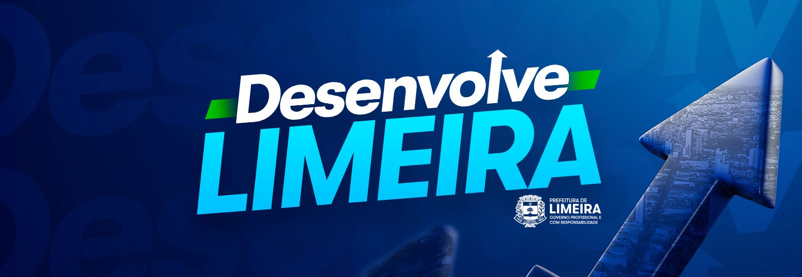 011_Desenvolve-Limeira-(Banner-Hotsite)