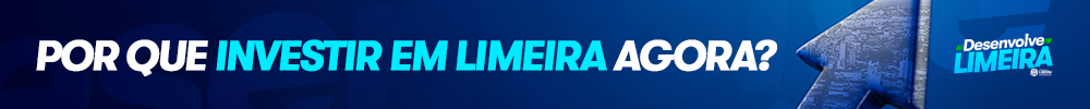 011_Desenvolve-Limeira-(Banner-Hotsite---menores)-1