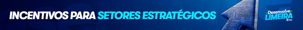 011_Desenvolve-Limeira-(Banner-Hotsite---menores)-5