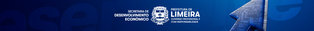 011_Desenvolve-Limeira-(Banner-Hotsite---menores)---ass
