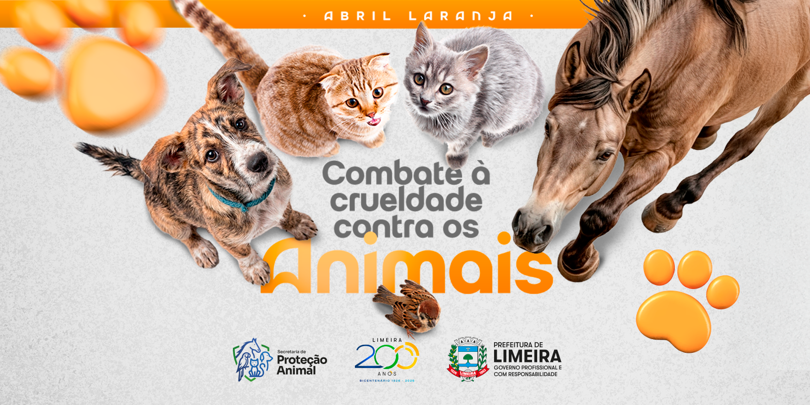 ANI_Hotsite-Prote&ccedil;&atilde;o-Animal---ABRIL-LARANJA