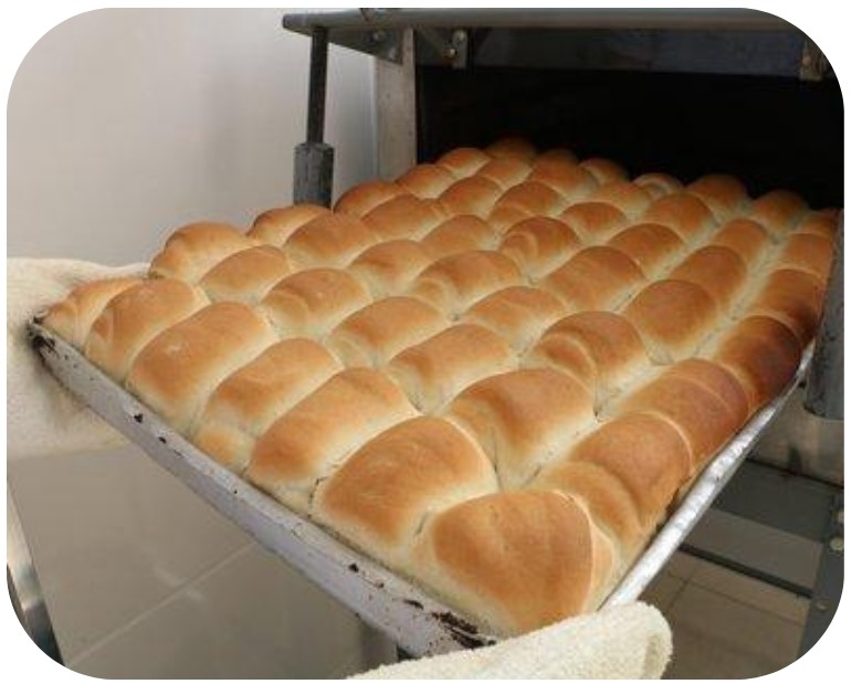 Design sem nome (25)