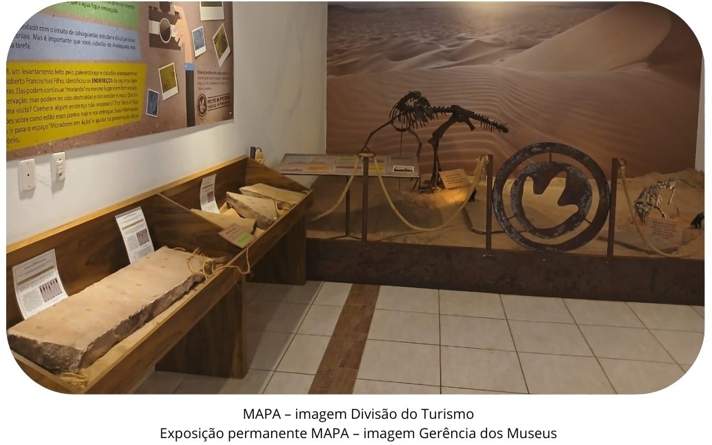 Avenida Dom Pedro II com a Via Expressa – imagem de Tetê Viviani (940 x 2900 px) (940 x 6600 px) (1111 x 1111 px) (1)