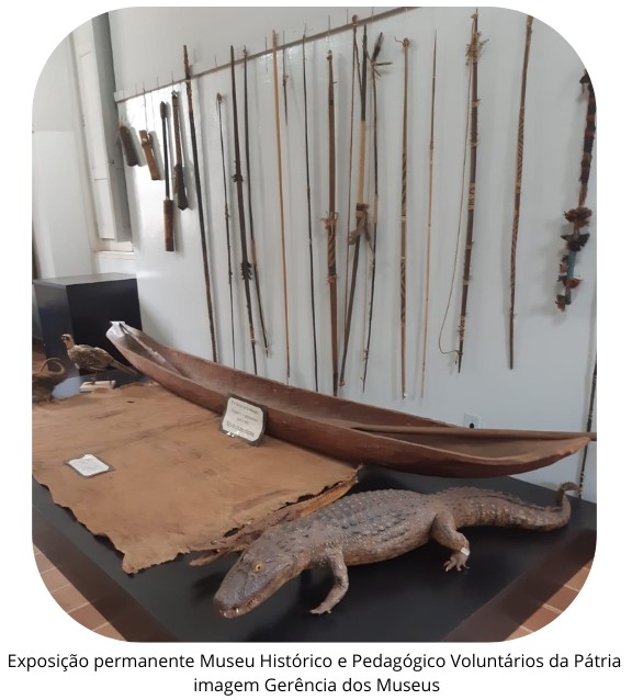 Avenida Dom Pedro II com a Via Expressa – imagem de Tetê Viviani (940 x 2900 px) (940 x 6600 px) (1111 x 1111 px) (7)