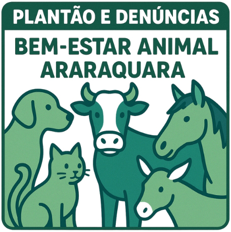 Design sem nome - 2025-09-25T183535.056