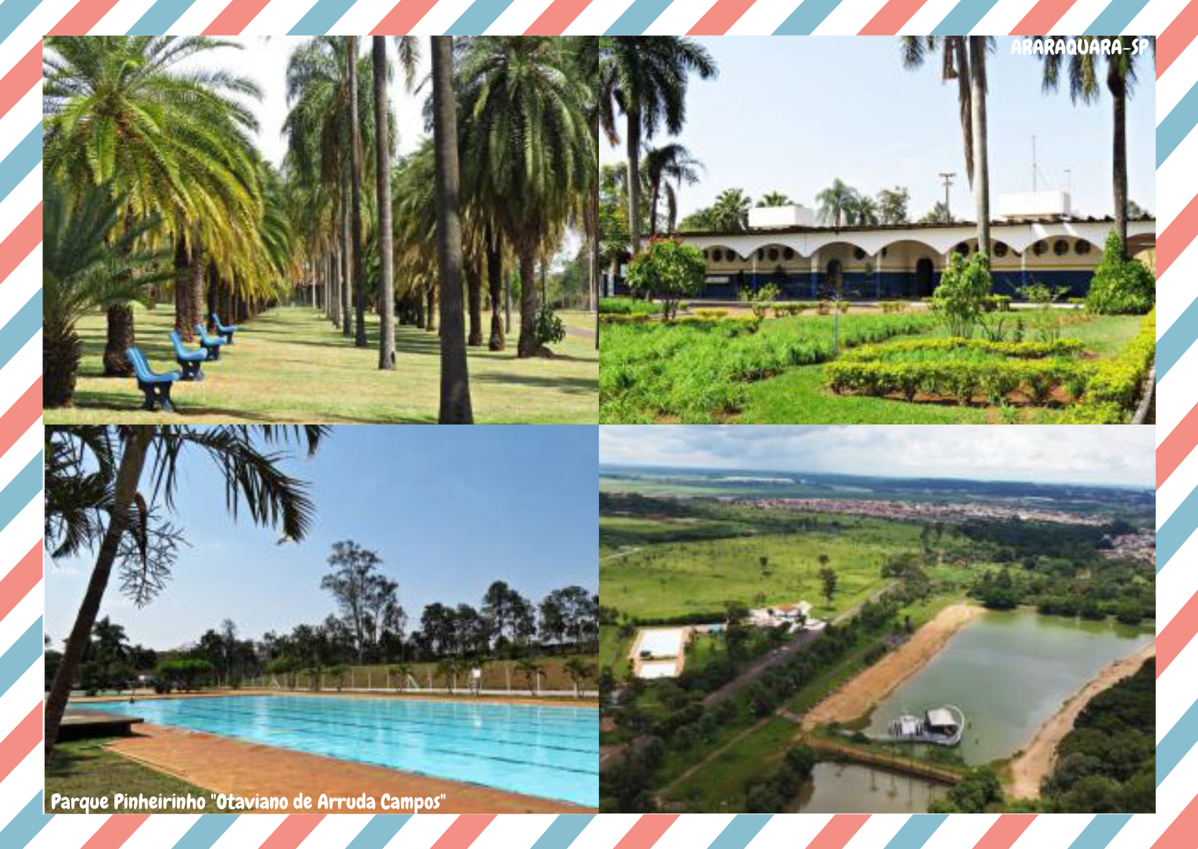 Parque Pinheirinho Otaviano de Arruda Campos - CARTÃO POSTAL