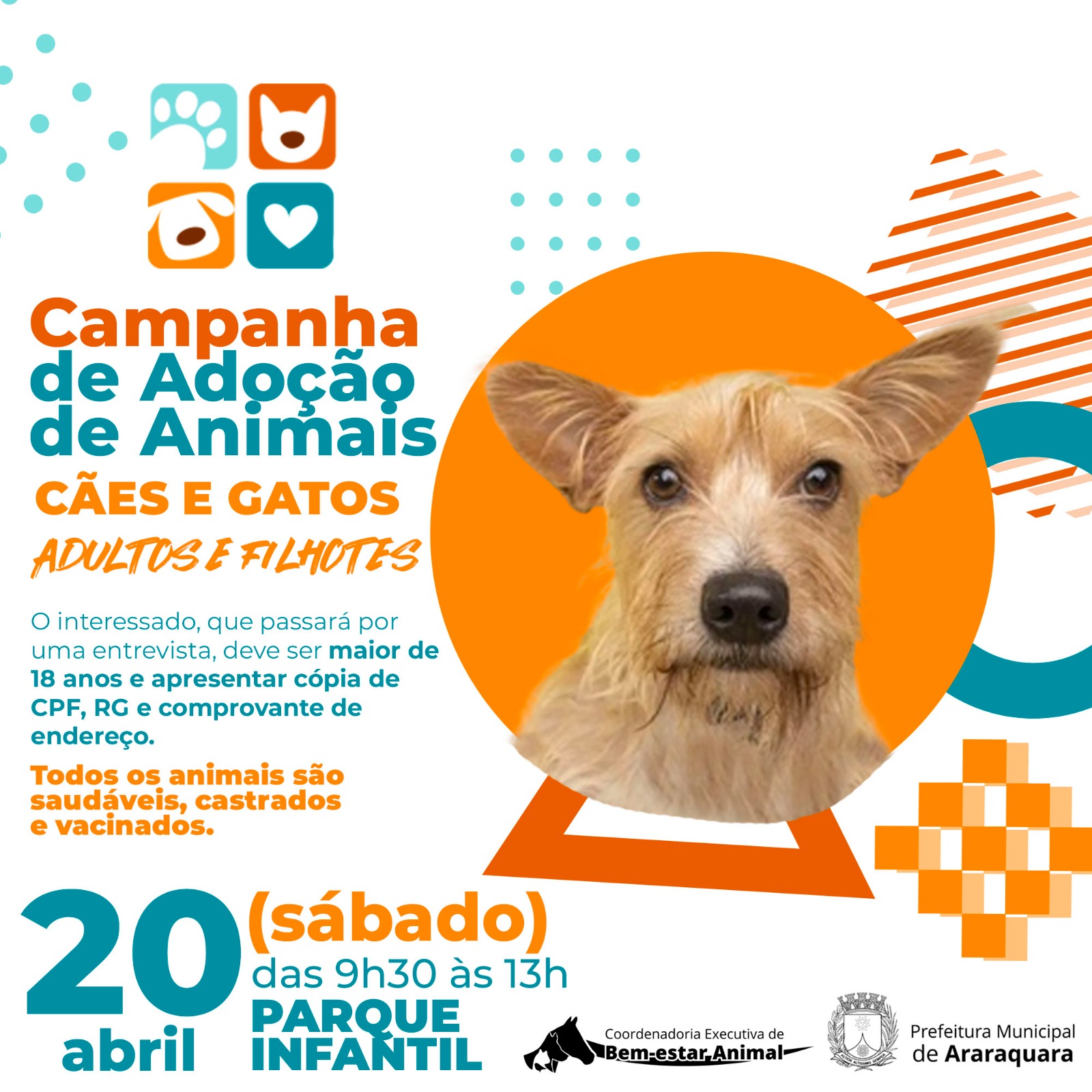 Campanha de Adoção de Animais - 20 de abril