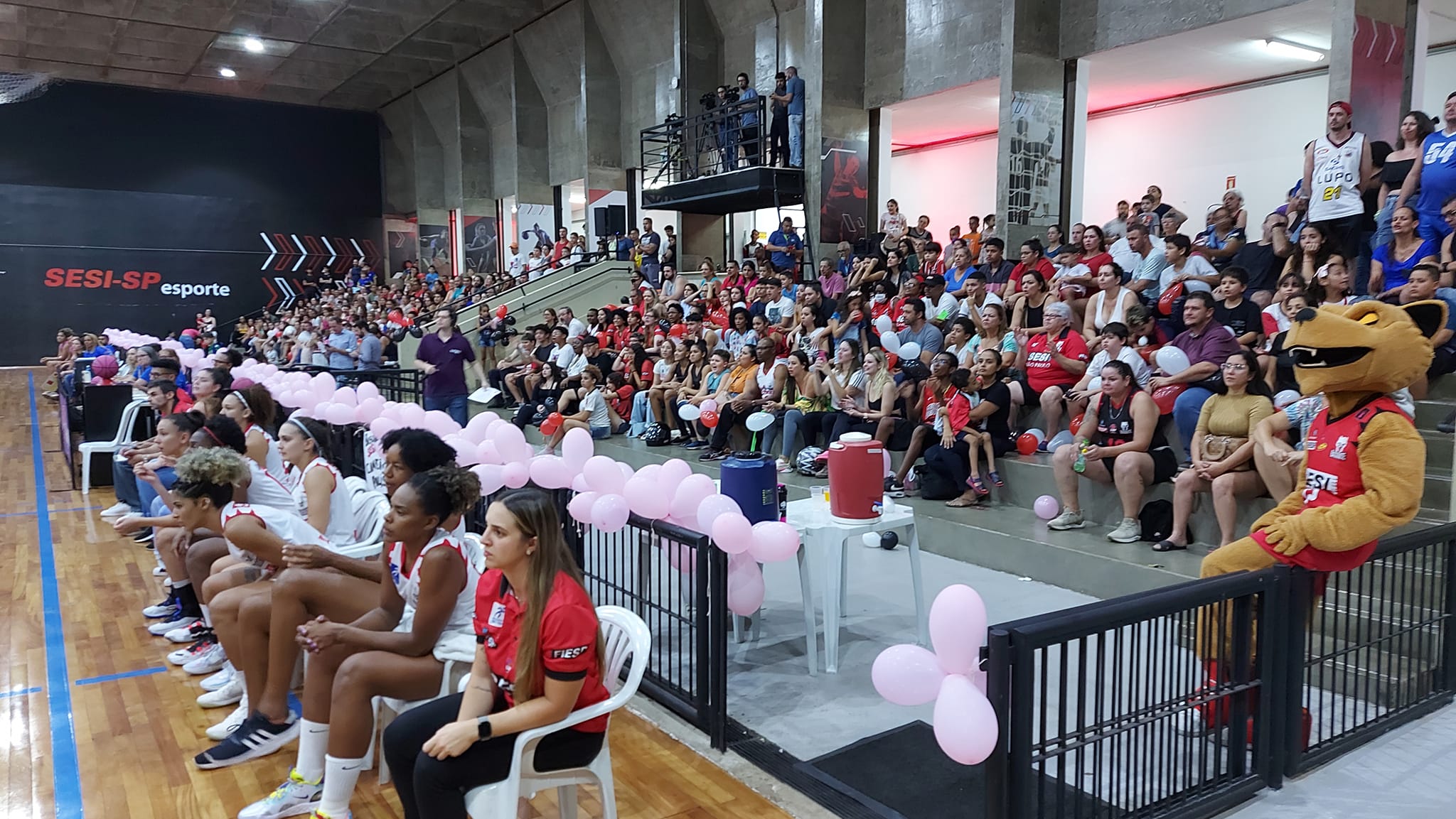 Sesi Araraquara inicia disputa da final da Liga de Basquete Feminino -  Prefeitura de Araraquara