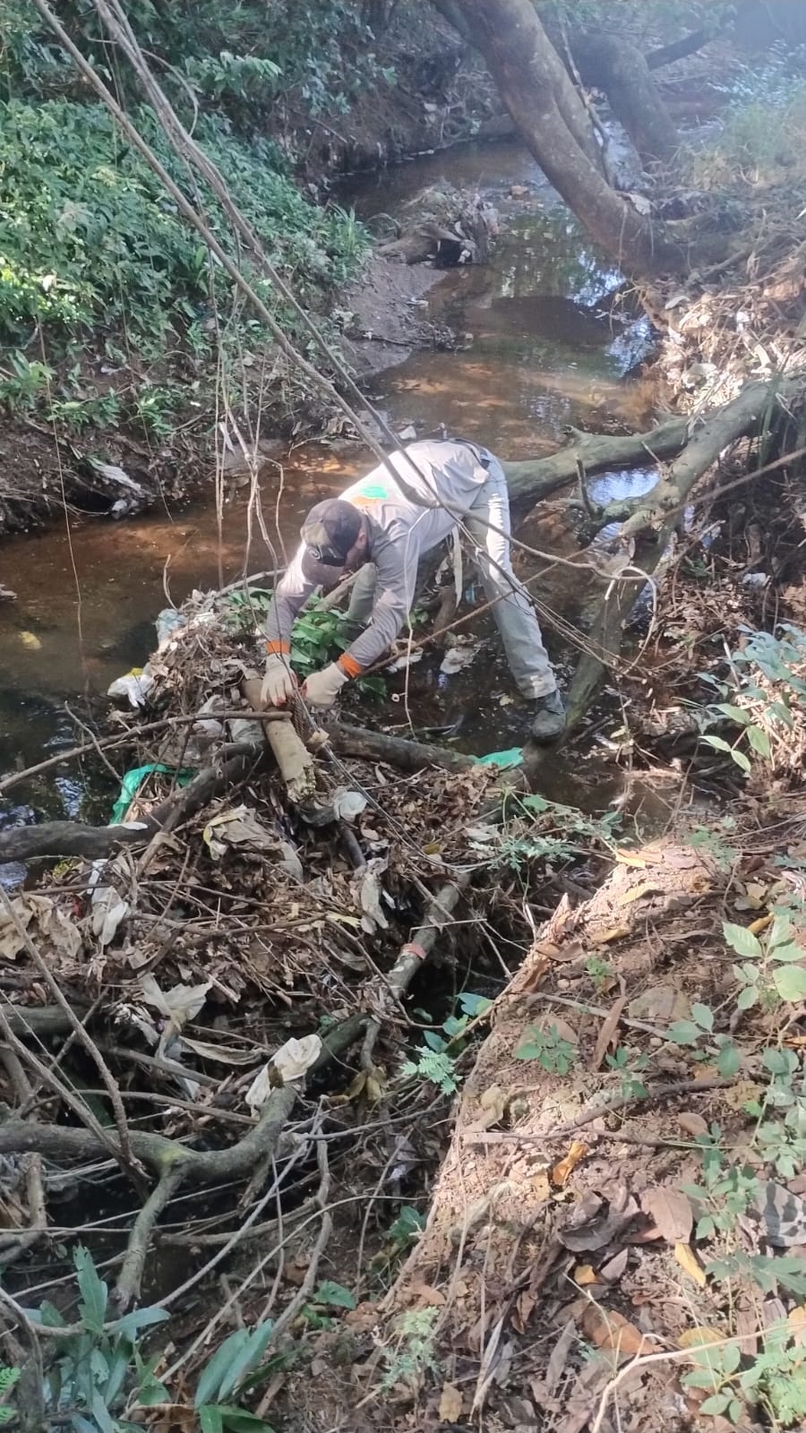 foto 06 Serviço de manutenção da arborização em trecho do córrego do Tanquinho