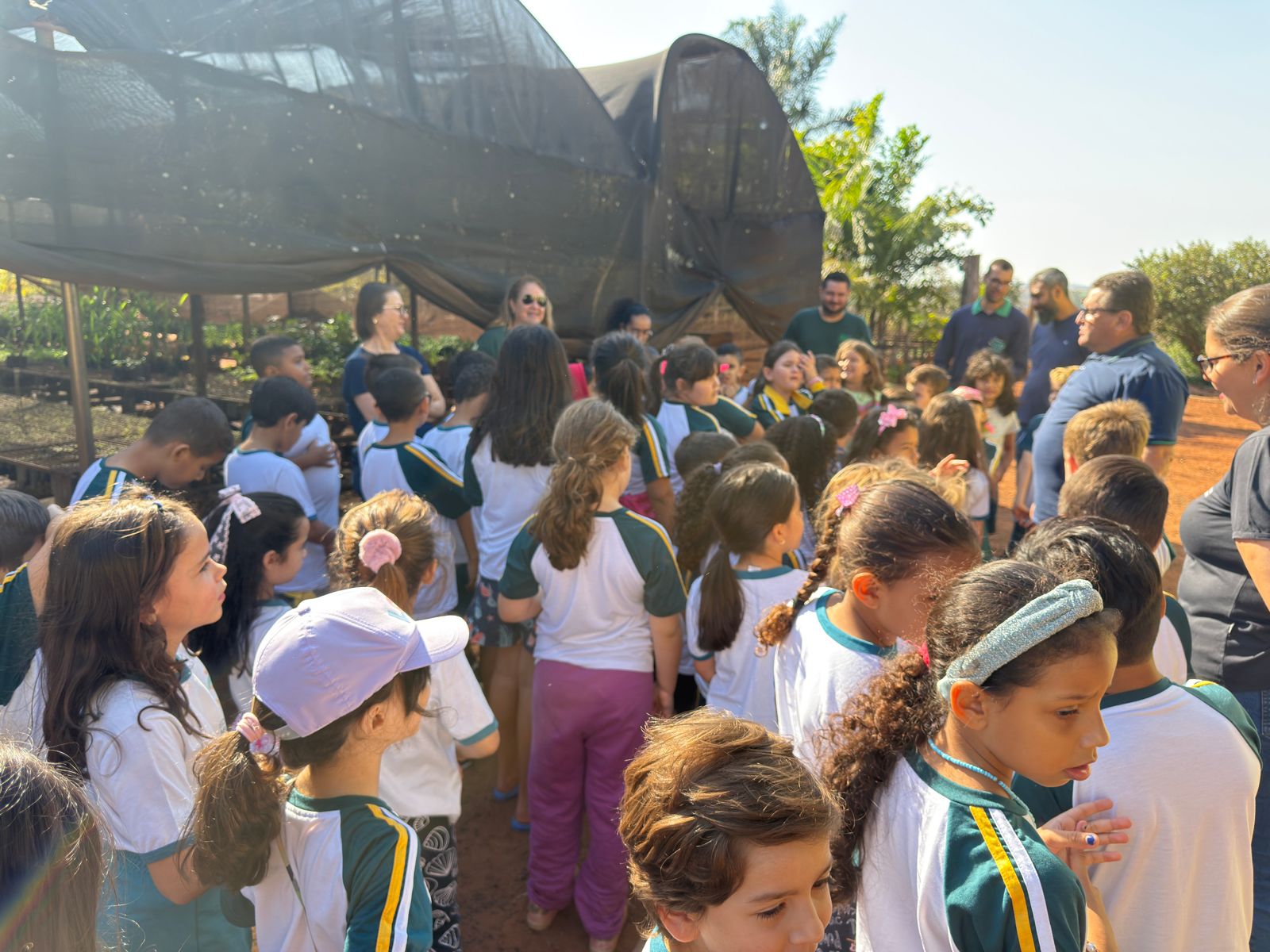 Semana da Árvore 11