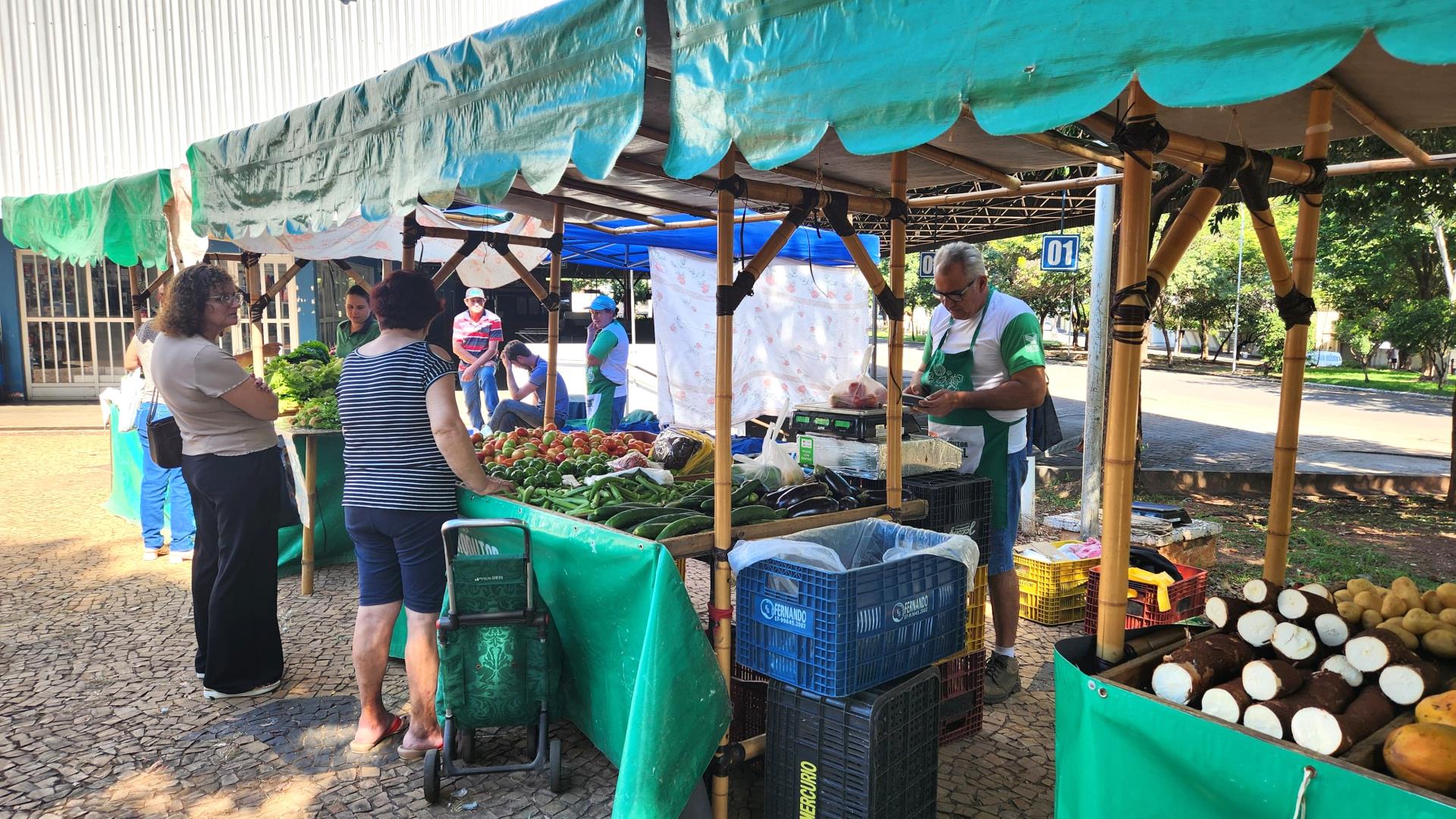 Visita feira da rodoviria 02