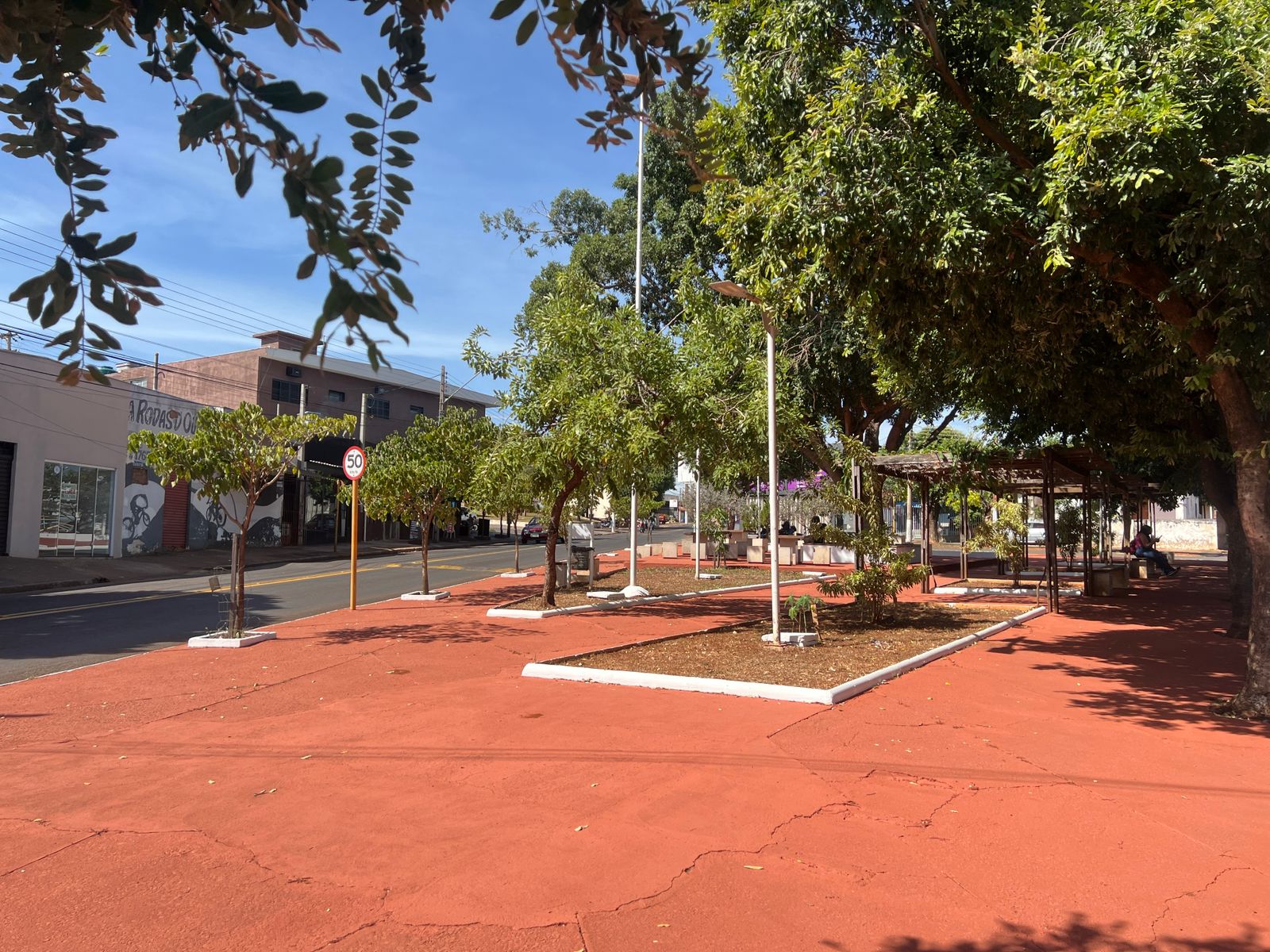 Feira do Arapuã 1