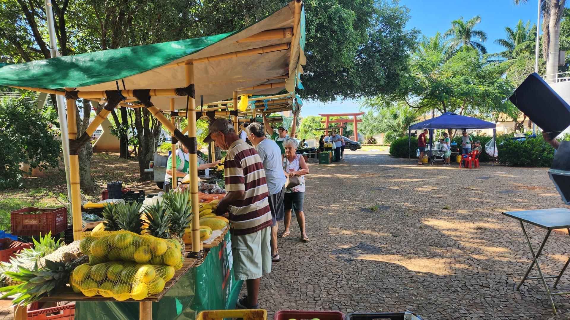 Visita feira da rodoviria 03