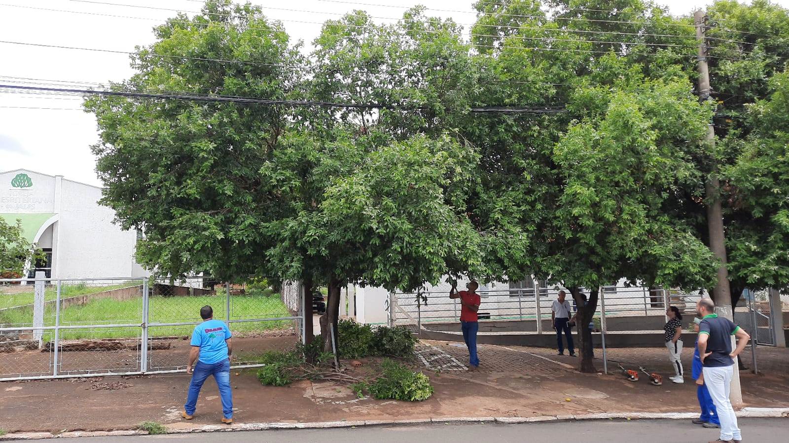 PODADORES 04