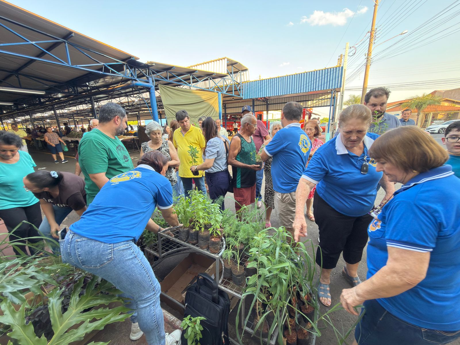Semana da Árvore 06