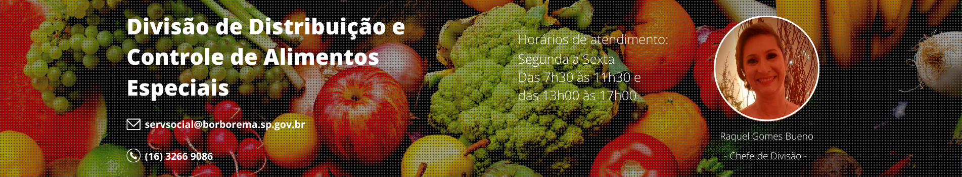 Divisão de Distribuição e Controle de Alimentos Especiais