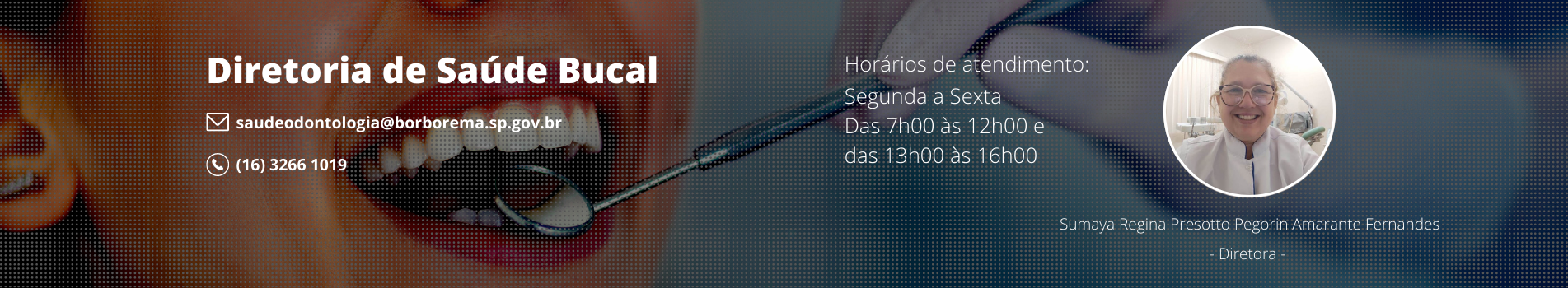 Diretoria de Saúde Bucal